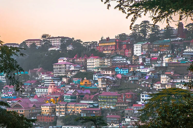 shimla